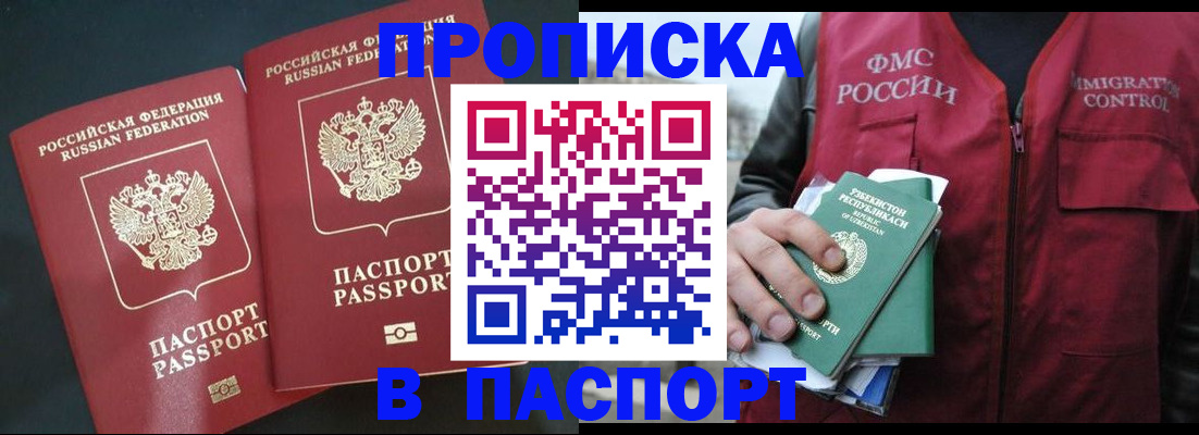 прописка 2025 в Кольчугино